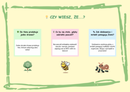 Czym jest ekologia? Zwierzęta leśne. Grzyby. Ciekawostki. Hotelik dla owadów. Naklejki. Mini-bajka.