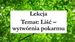 klasa 5 - Liść - prezentacja