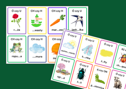 KARTY ORTOGRAFICZNE – ortografia – WIOSNA - 48 szt.