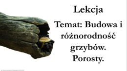 Klasa 5 - Budowa i różnorodność grzybów. Porosty. – prezentacja