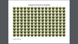 Maraton czytelniczy - zestaw na cały rok