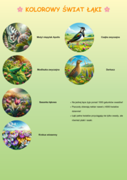 Plakaty ilustrujące różne ekosystemy. Las, morze, łąka. Gatunki chronione.