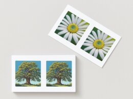 Memory. Zwierzęta. Rośliny. Ikony ekologiczne