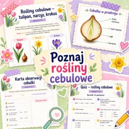 Rośliny cebulowe - tulipan, narcyz, krokus