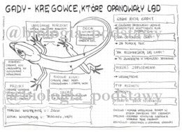 Klasa 6 - Gady - sketchnotka
