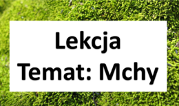 Klasa 5 - Zestaw "Mszaki"