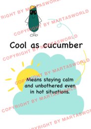 🌞 **Summer Idioms – Twój klucz do letnich wyrażeń!** 🌞