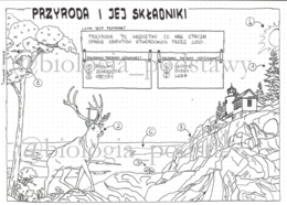 Klasa 4 - Przyroda i jej składniki - sketchnotka