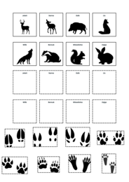 Tablice edukacyjne. Zwierzęta. Ptaki w Polsce. Gatunki grzybów. Zasady segregacji śmieci. Naturalne siedliska.