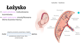 KLASA 3 rozszerzenie - PAKIET NA CAŁY ROK