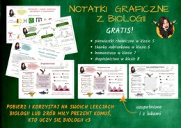 Darmowe notatki graficzne BIOLOGIA szkoła podstawowa klasy 5-8
