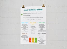 Infografiki edukacyjne. Zasady segregacji odpadów. Obieg wody w przyrodzie. Dlaczego pszczoły są ważne?