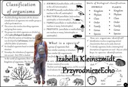 Sketchnotka – notatka/książeczka w języku angielskim „Klasyfikacja organizmów” wykonana w pdf. Geografia 5, „Wirusy, bakterie, protisty i grzyby”