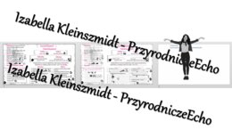 Minizestaw na temat „Czym jest ekosystem?” – sketchnotka + karta pracy w power point + gratisowy link do prezentacji multimedialnej niekomercyjnej wykonanej w genial.ly do indywidualnego pobrania i użycia do celów niekomercyjnych. Biologia 8, „Ekologia”
