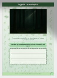 Materiały ilustracyjne – „Które zdjęcie pasuje do wiersza?”. Zdjęcia lasów/ścieżki