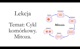 Klasa 1 (podstawa) - Cykl komórkowy. Mitoza - prezentacja