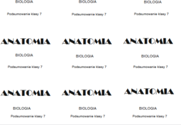 Gra ala TABU podsumowanie klasy 7