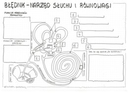Ucho - klasa 7 - KP do uzupełnienia