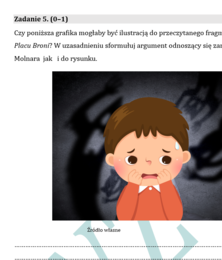 PRÓBNY EGZAMIN Z JĘZYKA POLSKIEGO JUŻ DLA SZÓSTOKLASISTY - CHŁOPCY Z PLACU BRONI