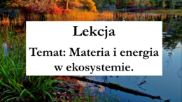 Klasa 8 - Materia i energia w ekosystemie - prezentacja
