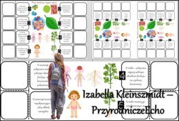 Notatka okienkowa/stacja zadaniowe/notatka/notatka graficzna/karta pracy/sketchnotka „Plan budowy organizmów”, „Biologia jako nauka” w pdf. Biologia 5 dział „Biologia – nauka o życiu”. Materiał wykonany na podstawie podręcznika z wydawnictwa Nowa Era – n