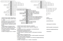 Logogoryf dla klasy 6 na podsumowanie lekcji biologii o tkance łącznej