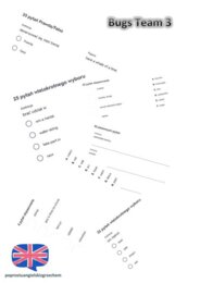 Bugs Team 3 – Unit 4 – testy