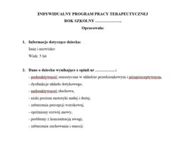 Indywidualny program pracy terapeutycznej