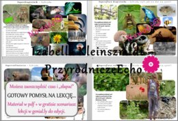 Pomysł na lekcję/pomysł na projekt/układanka/materiał do lekcji do tematu „Drapieżnictwo. Roślinożerność” w pdf. W gratisie niekomercyjny scenariusz lekcji/pomysł na lekcję w programie genial.ly do edycji. Na podstawie wydawnictwa Nowa Era. Biologia 8. D
