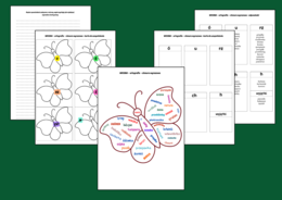 WIOSNA – CHMURA WYRAZOWA – ORTOGRAFIA – karta pracy – opowiadanie – wklejka + ODPOWIEDZI