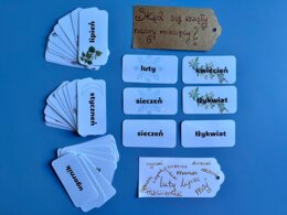 Skąd się wzięły nazwy miesięcy - karty