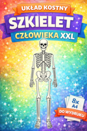 Szkielet człowieka XXL – plakat/układanka/kolorowanka do wydruku (8 stron A4) PDF; układ szkieletowy; układ kostny