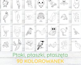 Kolorowanka „Ptaszki” – 90 stron PDF do druku!