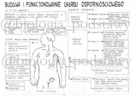 Klasa 7 - Układ odpornościowy - sketchnotka
