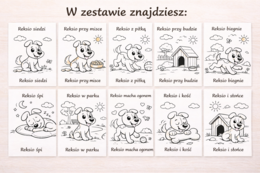 Pokoloruj Reksia. [Kolorowanki]