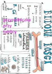 Klasa 7. Biologia. Budowa kości