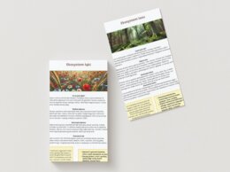 Ekosystemy (łąka, las, jezioro)