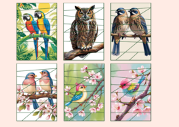 DZIEŃ PTAKÓW – puzzle –EKOLOGIA – wiosna – biblioteka – przedszkole – świetlica – 12 wersji