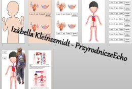 Budowa układów narządów człowieka – układanki do zalaminowania. Przyroda 4 / Biologia 7. Układy narządów człowieka. Przyroda 4, „Odkrywamy tajemnice ciała człowieka”.