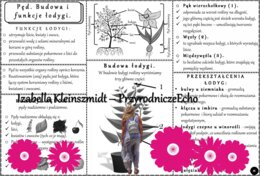 Sketchnotka/książeczka/notatka/wklejka/ściąga dla ucznia i przypomnienie dla nauczyciela/edukacja domowa. Temat „Pęd. Budowa i funkcje łodygi””. Materiał w pdf. Biologia 5, dział „Tkanki i organy roślinne”. Nowość 2024/2025.