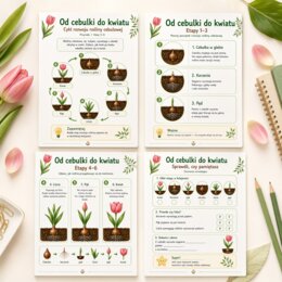 Od cebulki do kwiatu