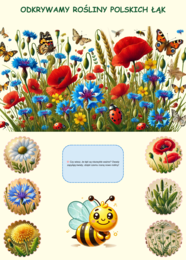 Plansze edukacyjne o grzybach i roślinach