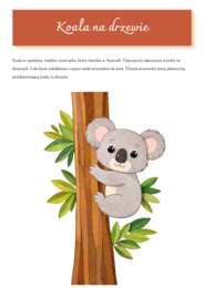 Skaczące kangurki. Koala na drzewie. Piasek Australii. [EDUKACJA PRZEDSZKOLNA]