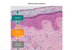 KLASA 3 rozszerzenie - PAKIET NA CAŁY ROK