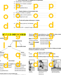 SKŁADNIA - podział wypowiedzeń, zdanie pojedyncze, złożone, równoważnik zdania - sprawdzian klasa 5 - 6