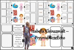 Notatka okienkowa/stacja zadaniowe/notatka/notatka graficzna/karta pracy/sketchnotka „ Plan budowy organizmu zwierzęcego”, „W królestwie zwierząt” w pdf. Biologia 5 dział „Świat zwierząt”. Materiał wykonany na podstawie podręcznika z wydawnictwa Nowa Era