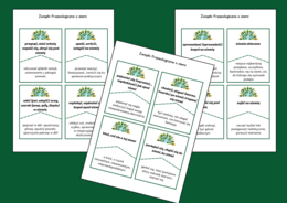 DZIEŃ ZIEMI – ziemia - frazeologizmy – ZWIĄZKI FRAZEOLOGICZNE – fiszki – 24 szt. – kl. 4-8 – egzamin – powtórzenie – ćwiczenia