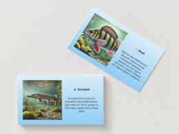 Ekologiczna przygoda. Ekosystem wodny. Ekosystem leśny. Gra MEMORY. Puzzle. QUIZ. [PAKIET]