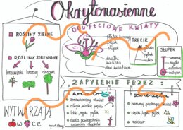 Okrytonasienne