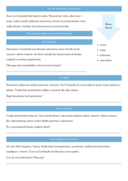 Karta pracy „Świat przedstawiony w lekturze Anaruk”